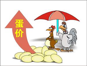 广州鸡蛋批发价格