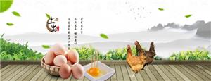 土大妈蛋品公司诚挚携手深土牌茶叶.jpg