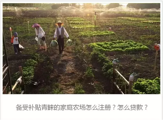 <a href='' class='keys' title='点击查看关于广东鸡蛋养殖场的相关信息' target='_blank'>广东鸡蛋养殖场</a>