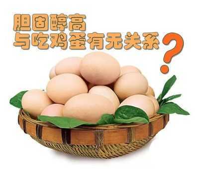 胆固醇高与吃鸡蛋有无关系