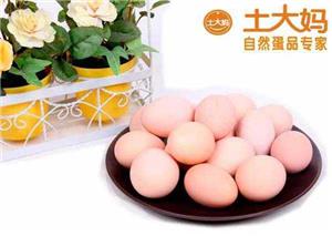 韶关鸡蛋批发市场