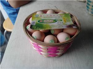 兴来银行订购—20枚装品