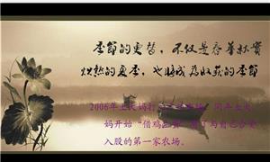 鸡蛋品牌土大妈的企业发展史