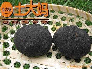 9枚草木灰咸鸭蛋,咸鸭蛋