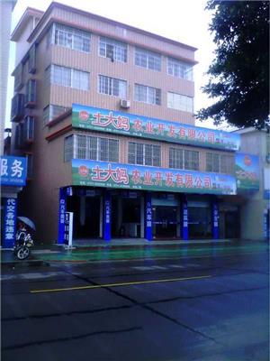 福建笨鸡蛋,土大妈