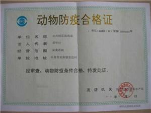 动物防疫合格证
