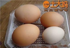 双黄蛋