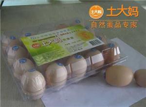 蛋鸡福利计划 推高欧盟土鸡蛋价格