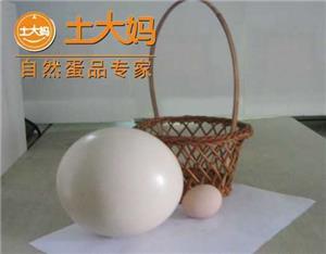 土大妈鸵鸟蛋