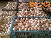 网上卖土鸡蛋,土大妈