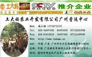 /戚小姐联系方式