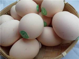 月子鸡蛋土大妈散装鸡蛋