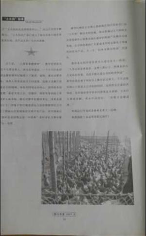 品牌鸡蛋,韶关作家