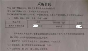 广东鸡蛋批发市场在哪里