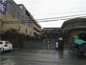 广东鸡蛋批发市场在哪里