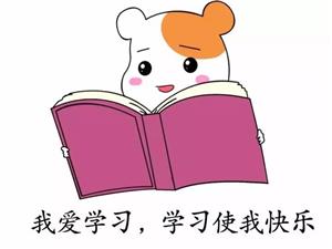 笨鸡蛋和普通鸡蛋的区别