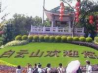 土大妈公司组织员工去踏青