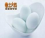 为什么贵司的鹅蛋偏小?