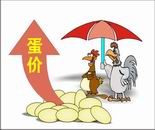 关于蛋品价格问题