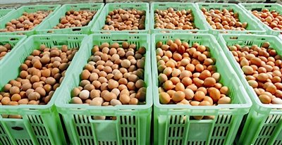 土大妈佳绩频传,仓库扩容受益面更广