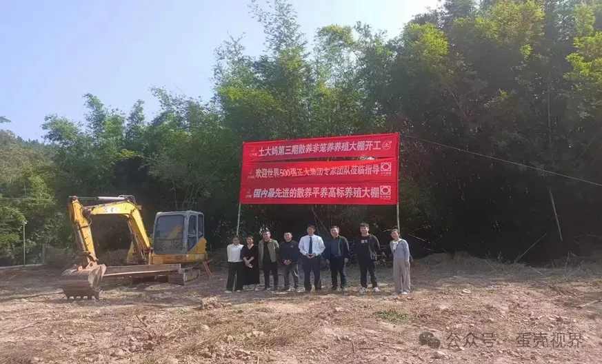 转发:企业观察 | 国内最先进的散养平养高标蛋鸡养殖大棚----在土大妈民丰山养殖基地开建