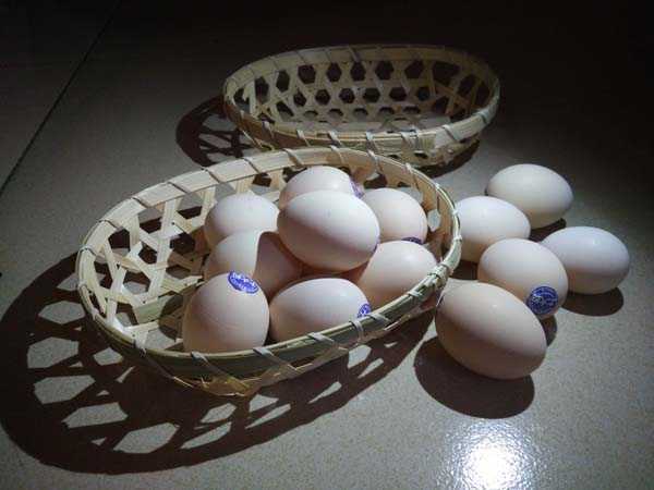 高端鸡蛋品牌