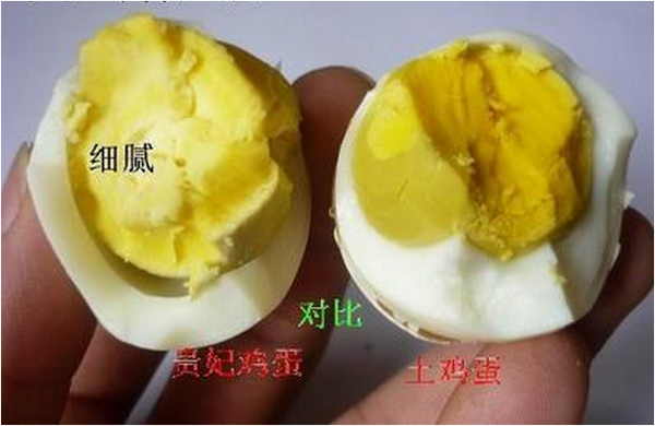 贵妃鸡蛋图片