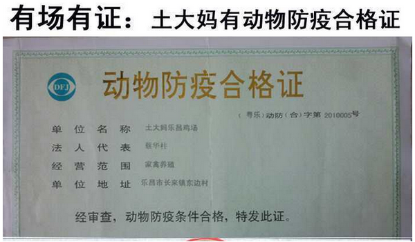 贵妃鸡蛋图片