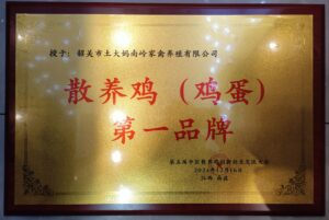 2024年第一品牌奖